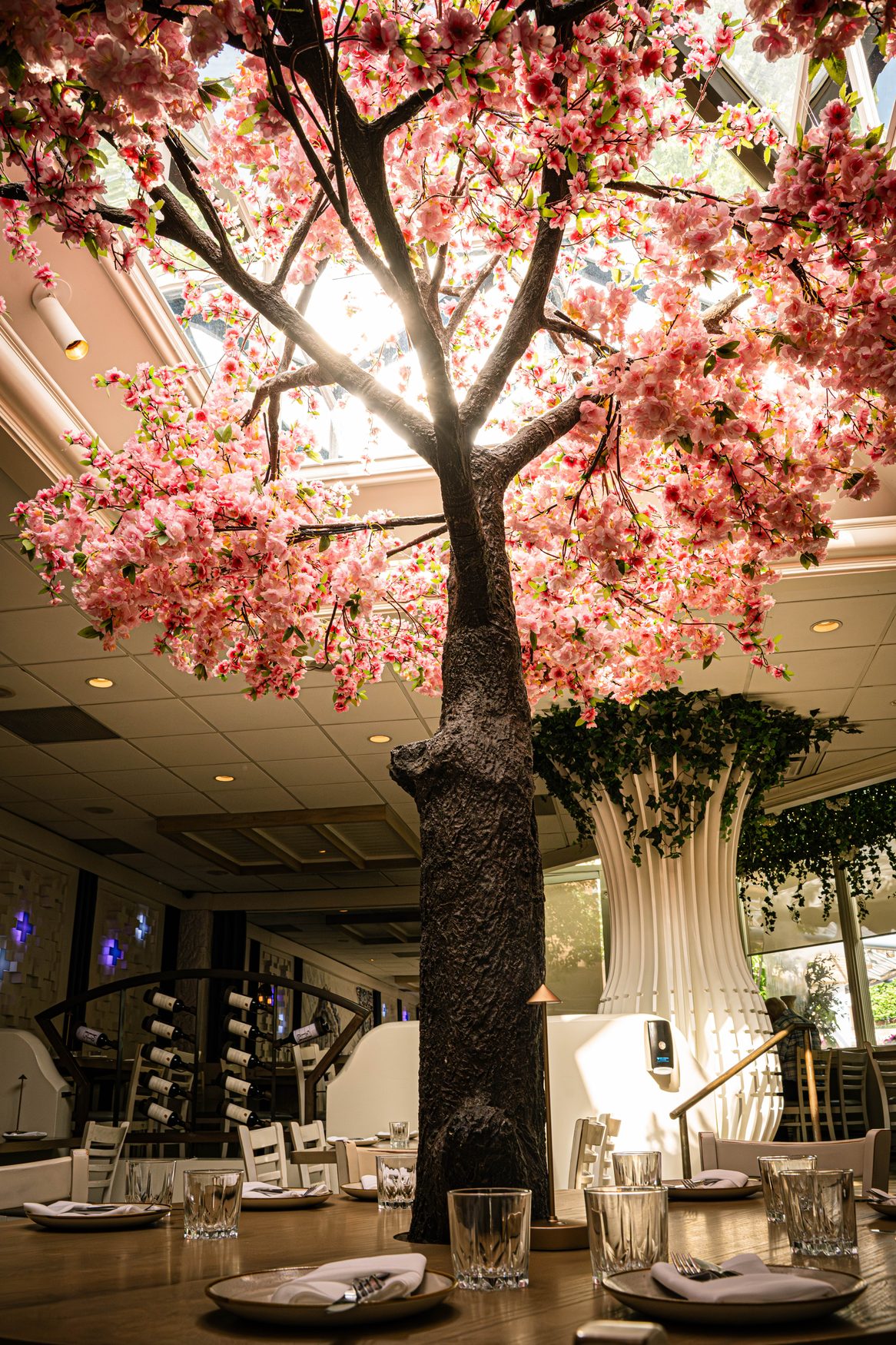 The blossom tree at Santorini Estiatorio